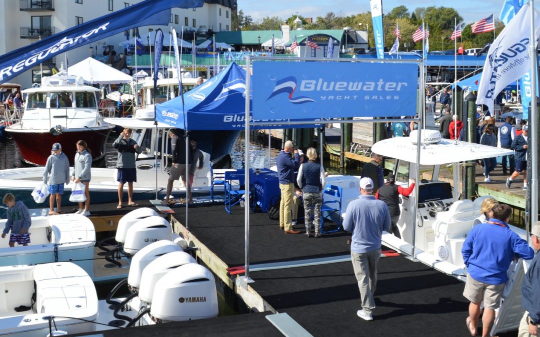 Annapolis Dock Days